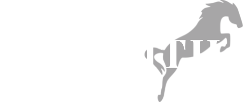 Em Smith Logo with her name and a shadow of a horse jumping